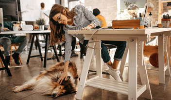 Pets in the Workplace